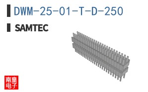DWM-25-01-T-D-250