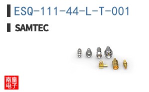 ESQ-111-44-L-T-001