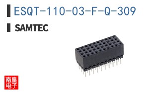 ESQT-110-03-F-Q-309
