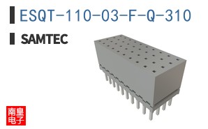 ESQT-110-03-F-Q-310