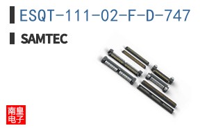 ESQT-111-02-F-D-747