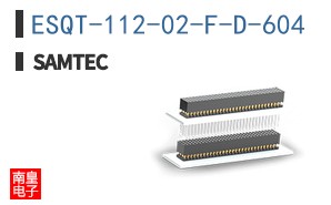 ESQT-112-02-F-D-604