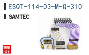 ESQT-114-03-M-Q-310