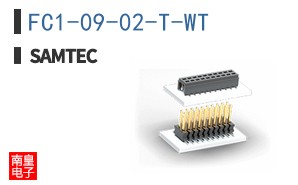 FC1-09-02-T-WT