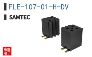 FLE-107-01-H-DV