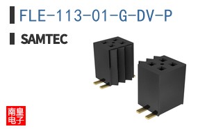 FLE-113-01-G-DV-P