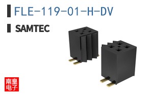 FLE-119-01-H-DV