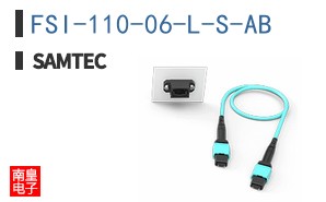 FSI-110-06-L-S-AB