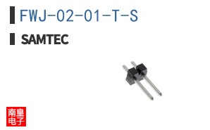 FWJ-02-01-T-S
