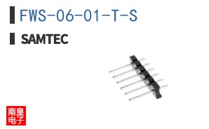 FWS-06-01-T-S