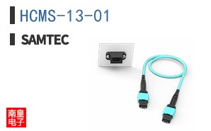 HCMS-13-01