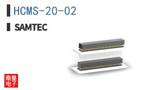 HCMS-20-02