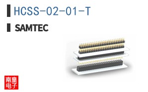 HCSS-02-01-T