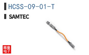 HCSS-09-01-T