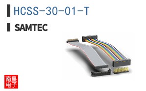 HCSS-30-01-T