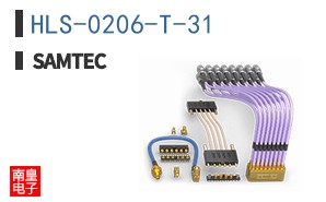 HLS-0206-T-31
