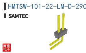 HMTSW-101-22-LM-D-290-RA