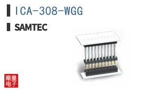 ICA-308-WGG