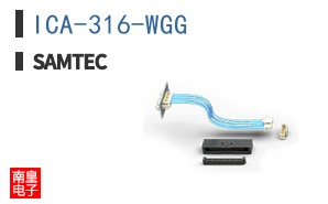 ICA-316-WGG