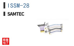 ISSM-28