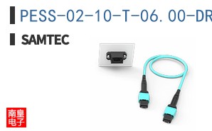 PESS-02-10-T-06.00-DR-NUS