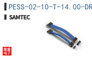 PESS-02-10-T-14.00-DR-NUS