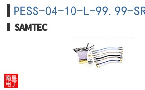 PESS-04-10-L-99.99-SR