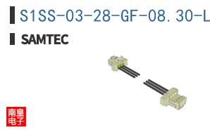 S1SS-03-28-GF-08.30-L1