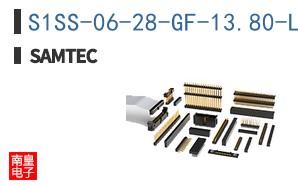 S1SS-06-28-GF-13.80-L3