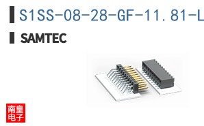 S1SS-08-28-GF-11.81-L