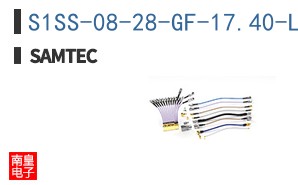 S1SS-08-28-GF-17.40-L1