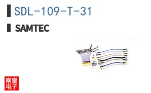SDL-109-T-31
