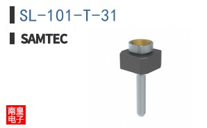 SL-101-T-31