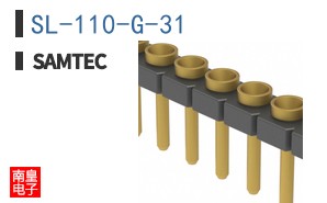 SL-110-G-31