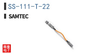 SS-111-T-22