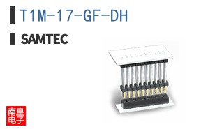 T1M-17-GF-DH