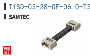 T1SD-03-28-GF-06.0-T3