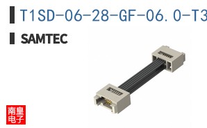 T1SD-06-28-GF-06.0-T3
