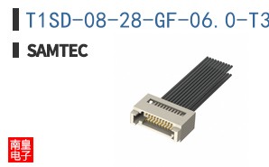 T1SD-08-28-GF-06.0-T3