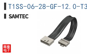 T1SS-06-28-GF-12.0-T3