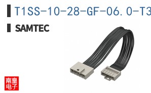 T1SS-10-28-GF-06.0-T3