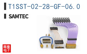 T1SST-02-28-GF-06.0