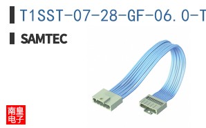 T1SST-07-28-GF-06.0-T3