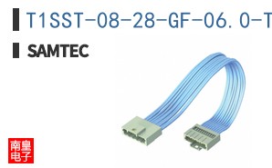 T1SST-08-28-GF-06.0-T3