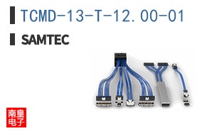 TCMD-13-T-12.00-01