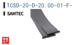 TCSD-20-D-20.00-01-F-N