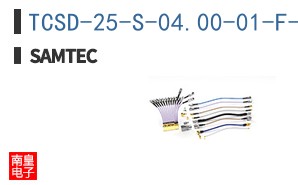 TCSD-25-S-04.00-01-F-N