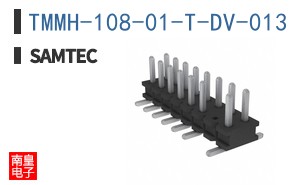 TMMH-108-01-T-DV-013