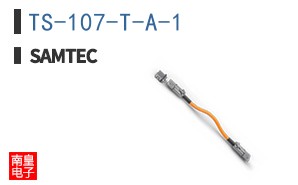 TS-107-T-A-1