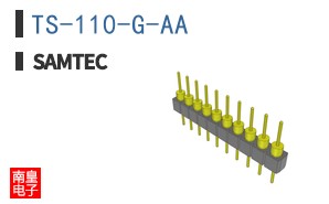 TS-110-G-AA